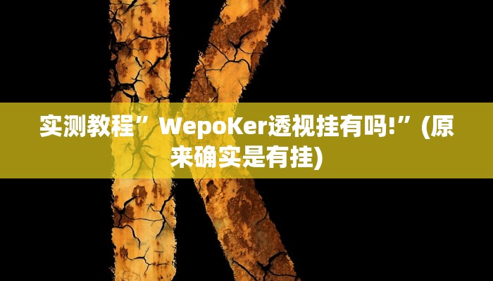 实测教程”WepoKer透视挂有吗!”(原来确实是有挂)