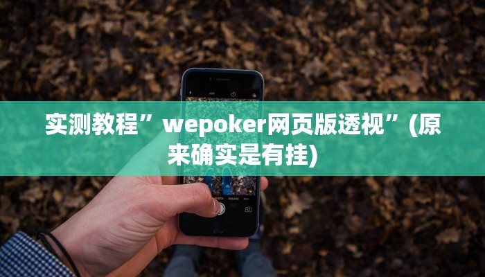 实测教程”wepoker网页版透视”(原来确实是有挂)