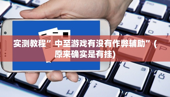 实测教程”中至游戏有没有作弊辅助”(原来确实是有挂)