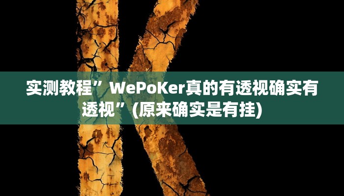 实测教程”WePoKer真的有透视确实有透视”(原来确实是有挂)