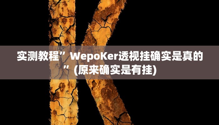 实测教程”WepoKer透视挂确实是真的”(原来确实是有挂)