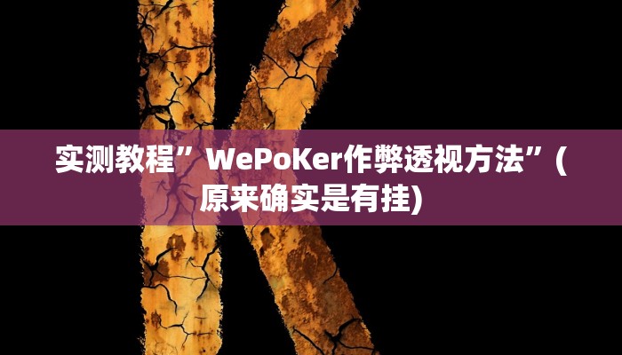 实测教程”WePoKer作弊透视方法”(原来确实是有挂)