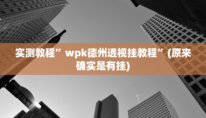 实测教程”wpk德州透视挂教程”(原来确实是有挂)