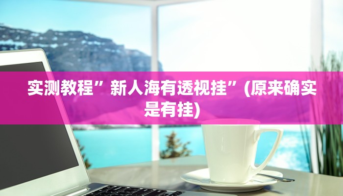 实测教程”新人海有透视挂”(原来确实是有挂)