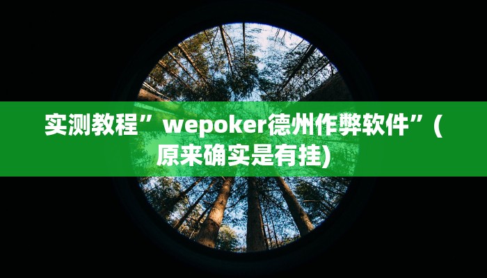 实测教程”wepoker德州作弊软件”(原来确实是有挂)