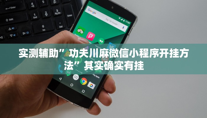 实测辅助”功夫川麻微信小程序开挂方法”其实确实有挂