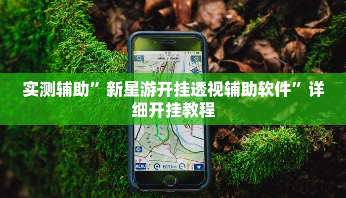 实测辅助”新星游开挂透视辅助软件”详细开挂教程