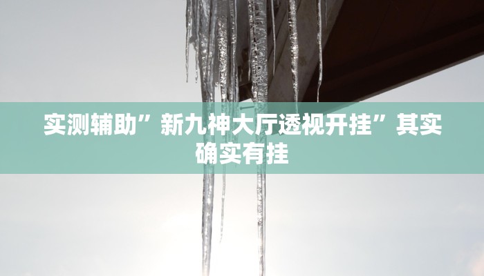 实测辅助”新九神大厅透视开挂”其实确实有挂