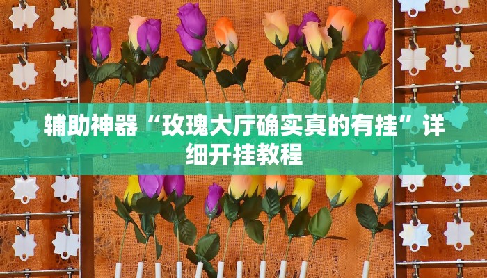辅助神器“玫瑰大厅确实真的有挂”详细开挂教程