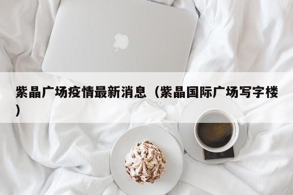 紫晶广场疫情最新消息（紫晶国际广场写字楼）